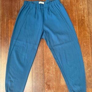 Aritzia Babaton pants